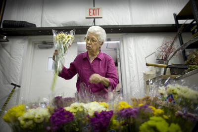 (RNS1-MAY20) Carol Bronson of Chesapeake, Va., found a job at a floral warehouse after she was laid off from a Virginia Beach synagogue. Bronson found she was ineligible for unemployment benefits because her former employer, like all religious groups, is exempt from paying unemployment taxes. For use with RNS-CHURCH-LAYOFFS, transmitted May 20, 2009. Religion News Service photo by Bill Tiernan/The Virginian-Pilot. 