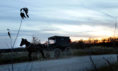 (RNS1-JAN06) An Amish buggy travels down a back road in rural Missouri, where Amish have moved in search of cheap land and quiet lives, making Missouri home to one of the fastest-growing Amish populations in the U.S. For use with RNS-MIDWEST-AMISH, transmitted Jan. 6, 2010. RNS photo by Laurie Skrivan/The St. Louis Post-Dispatch. 
