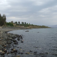 A view from the shore of the Sea of Galilee.   