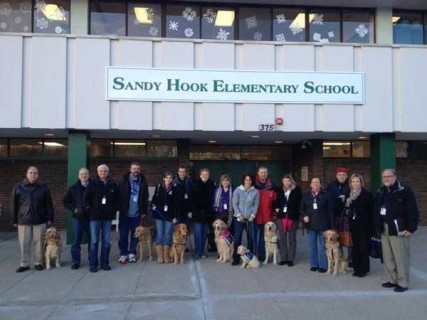 comfort dogs