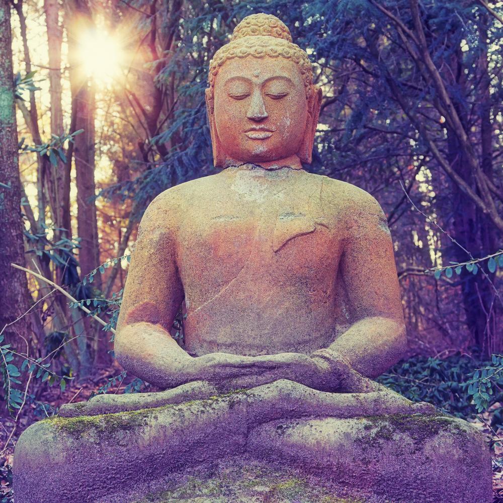Buddha prayer concentration