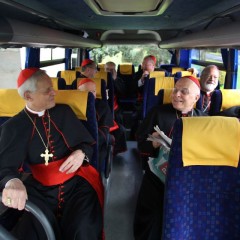 cardinals bus