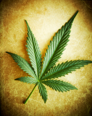 marijuana
