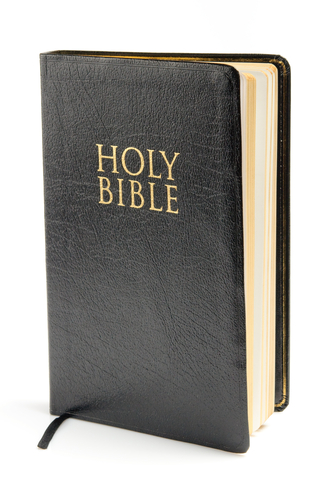 The Bible as a book? Crazy!

Bible courtesy of Shutterstock (http://shutr.bz/12pqxb0) 
