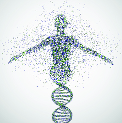 Abstract model of woman made from DNA molecules illustration courtesy Shutterstock.com (http://shutr.bz/10GYQXS)