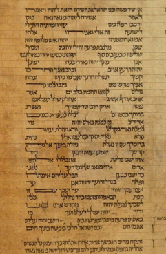 torah