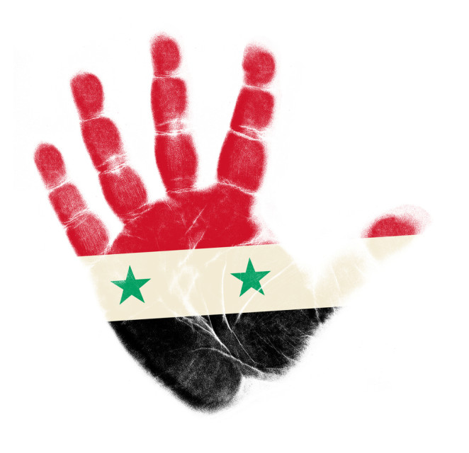 Syrian palm flag