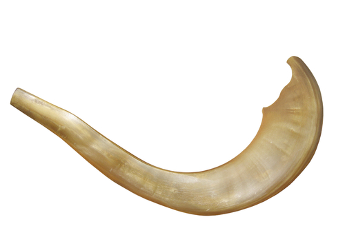 A Rosh Hashanah horn, courtesy Shutterstock