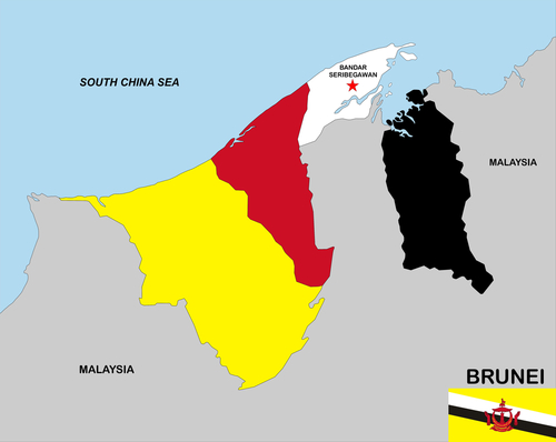Brunei map with flag