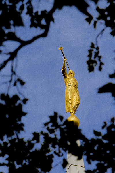 An Angel Moroni sculpture sits atop the steeple of the Brigham City, Utah Mormon temple. Photo courtesy The Church of Jesus Christ of Latter-day Saints