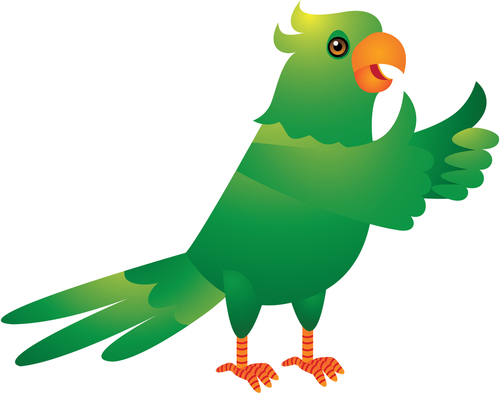 A green parrot, courtesy Shutterstock.