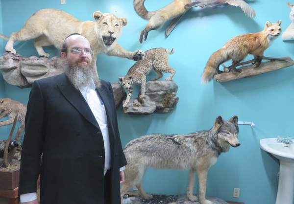 Rabbi Shaul Shimon Deutsch poses for a portrait with some of the predatory animals in his Living Torah Museum. RNS photo by David Gibson