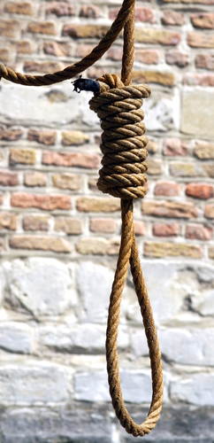 A gallows rope for the death penalty.