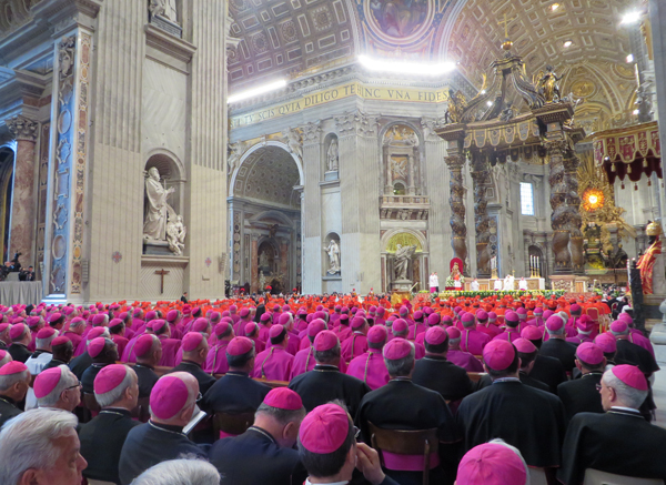 Hundreds of bishops and cardinals look on at St. Peter's Basilica, as Pope Francis formally appoints 19 new cardinals on Feb. 22, 2014. RNS photo by David Gibson 