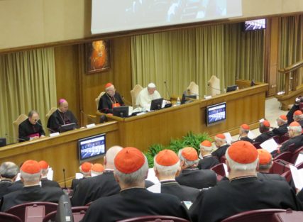 Pope Francis meets with cardinals in Synod Hall at the Vatican on Friday (Feb. 21). RNS photo by David Gibson