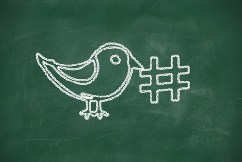 Twitter bird on a chalkboard.