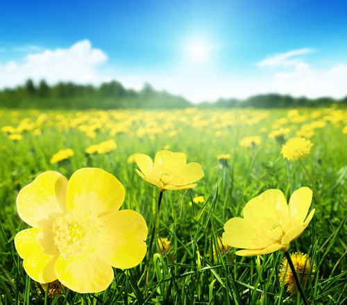 Spring is in the air. Courtesy Shutterstock.