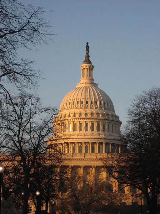 The dome of the Capitol in Washington D.C., taken from the Congressional Office Buildings on Constitution Ave.