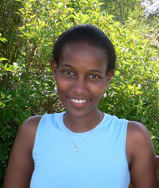 Ayaan Hirsi Ali in 2006. Photo by Steve Jurvetson, via Wikimedia Commons.