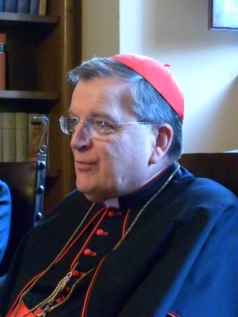 Cardinal Raymond Burke no longer heads the Vatican's highest court. He was moved out on Nov. 8, 2014 to an honorary post as patron of the Order of the Knights of Malta. Photo by Cathy Lynn Grossman