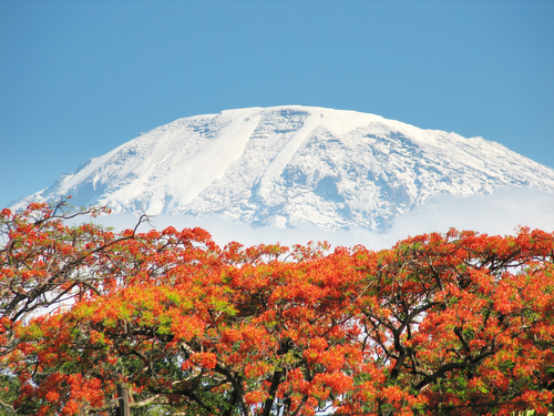 Mt. Kilimanjaro, with 5.895 m Uhuru Peak African highest mountain as well as worlds highest free-standing mountain.