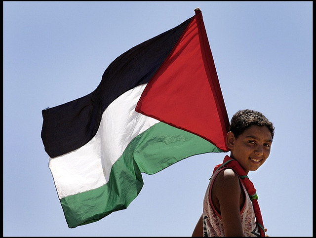 A young boy holds a Palestinian flag.