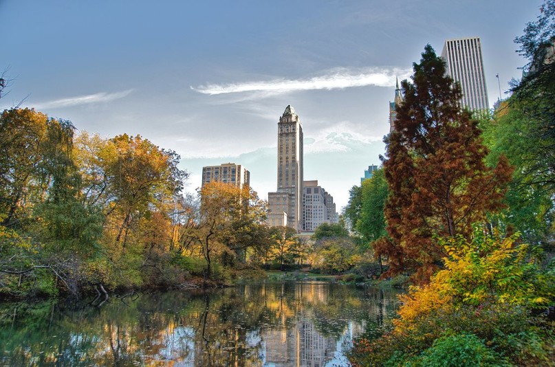A view of Central Park photographed near the southwest corner of Central Park, looking east towards Fifth Avenue.