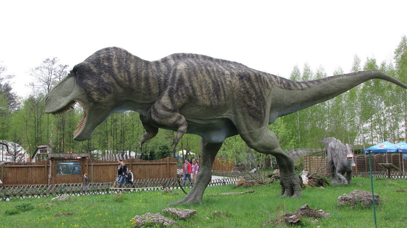 Polish model of a Tyrannosaurus Rex
