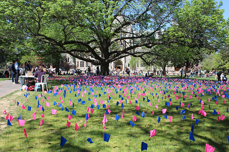 A display of flags on the lawn at Georgetown University in Washington, D.C., were placed there by an anti-abortion group. The group said the flags represent 3,562 lives lost to abortion in U.S. each day. Religion News Service photo by Adelle M. Banks