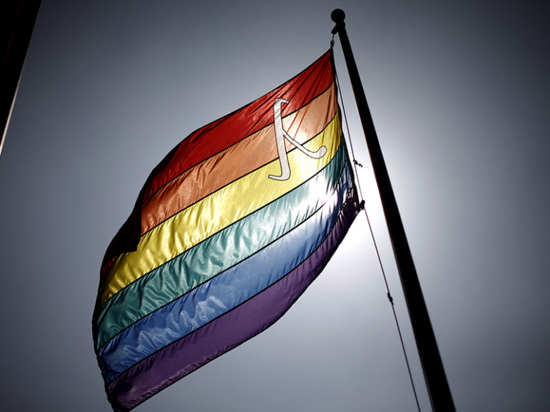 An LGBT lambda equality flag flies in West Hollywood, Calif., on June 26, 2015. Photo courtesy of Reuters/Lucy Nicholson