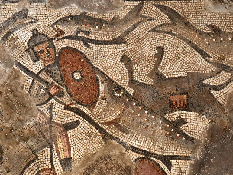 A mosaic shows a fish swallowing one of Pharaoh's soldiers in the parting of the Red Sea. The mosaic was found at the ancient synagogue at Huqoq. Photo courtesy of Jim Haberman