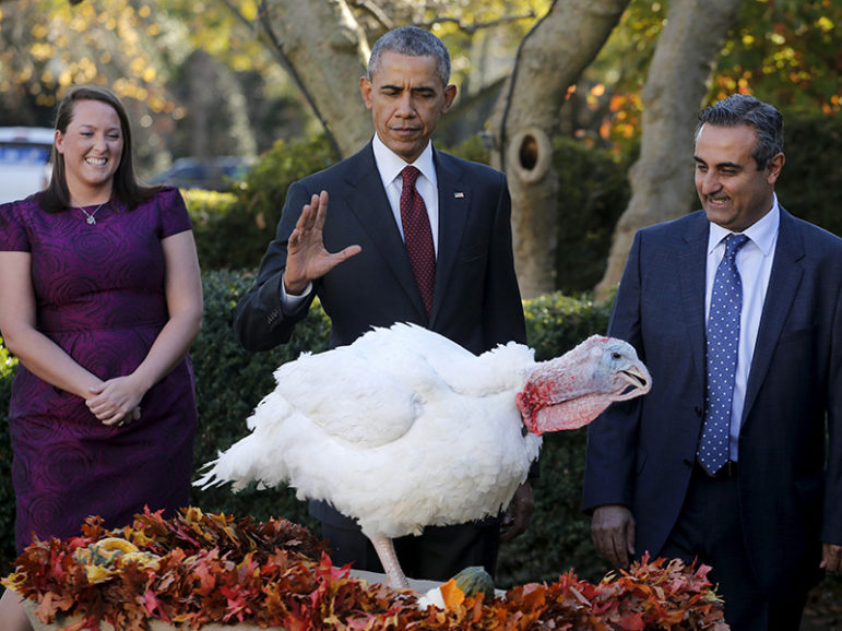 U.S. President Barack Obama pardons the National Thanksgiving Turkey during the 68th annual presentation of the turkey in the Rose Garden of the White House in Washington November 25, 2015. Courtesy of REUTERS/Carlos Barria