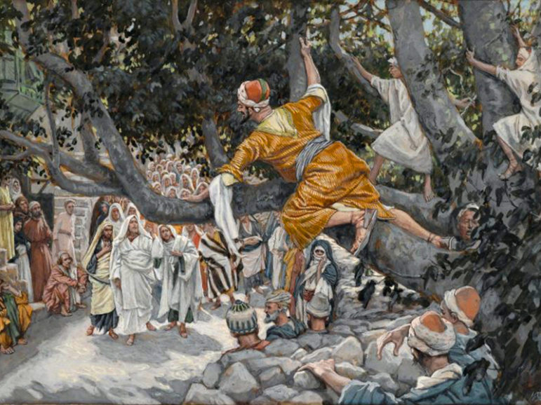 Zacchaeus in the Sycamore awaiting the Passage of Jesus.