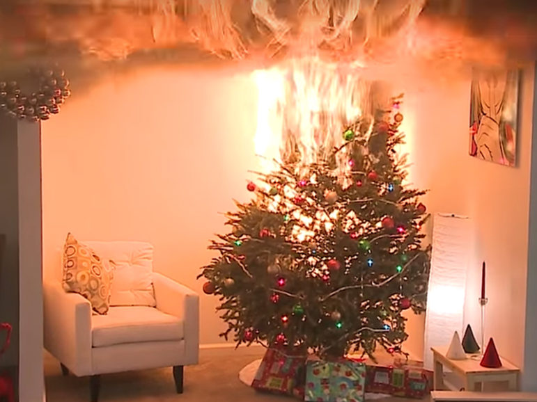 Dry Christmas trees can catch fire and cause immense damage in seconds.  Screen shot from National Fire Protection Association video