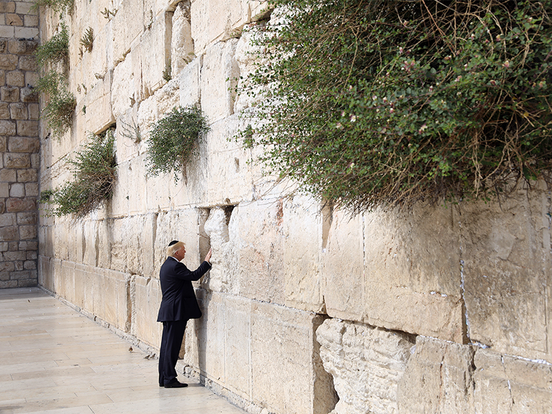 President Trump touches the Western Wall, Judaism's holiest prayer site, in Jerusalem's Old City on May 22, 2017. Photo courtesy of Reuters/Ronen Zvulun