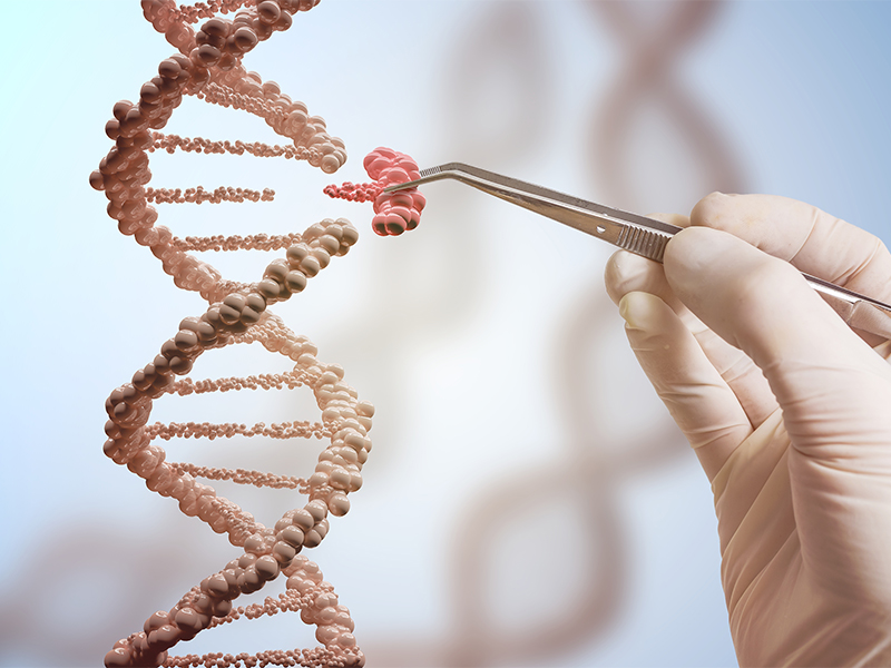 Genetic engineering and gene manipulation concept. A hand is replacing part of a DNA molecule. 3D rendered illustration of DNA. Image via Shutterstock