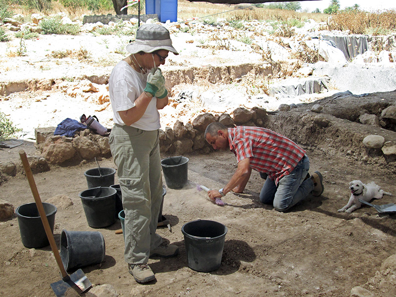 American university students excavate what Israeli archaeologists believe is the site of Gath, the hometown of the biblical Goliath. In officially sanctioned digs like this one, all artifacts are carefully excavated, photographed and catalogued. RNS photo by Michele Chabin