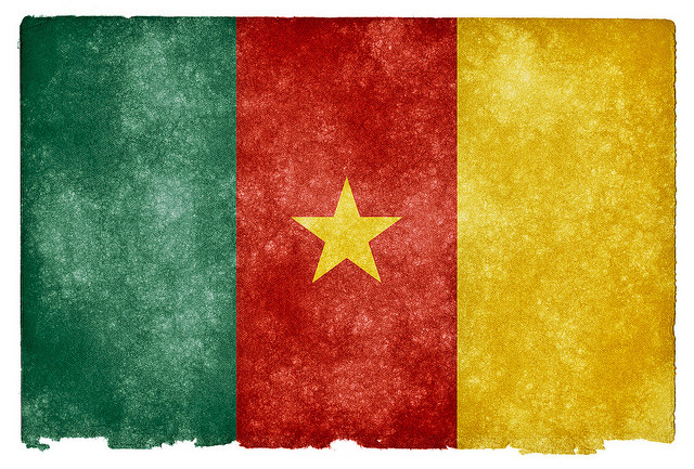 Creative Commons Cameroon flag image by Nicolas Raymond via Flickr.