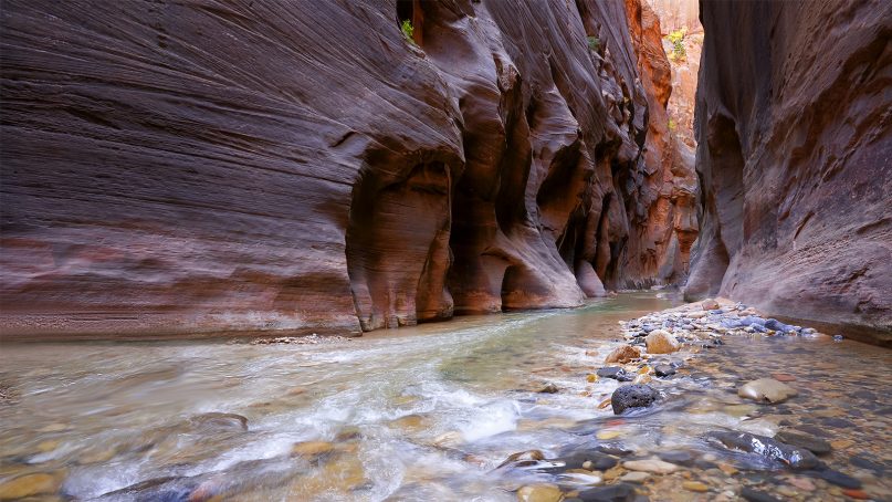 Nature offers many awe-inspiring vistas, such as the Narrows section of Zion National Park in Utah.  Photo by Steve Correy/Creative Commons