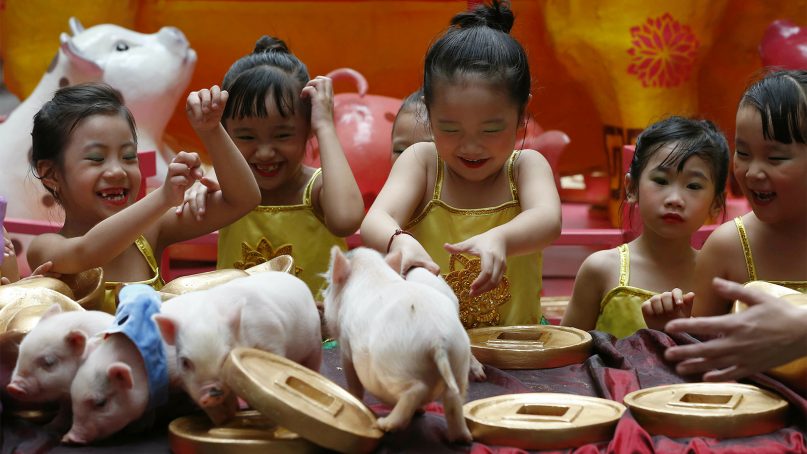 Girls play with live Teacup pigs, a rare pet in the country, at the start of celebrations leading to the Lunar New Year on Feb. 1, 2019, at Manila's Lucky Chinatown Plaza in Manila, Philippines. This year is the Year of the Pig on the Chinese Lunar calendar and is supposed to represent abundance, diligence and generosity.  The Lunar New Year traditions are heavily influenced by Confucianism, Buddhism and Taoism. (AP Photo/Bullit Marquez)