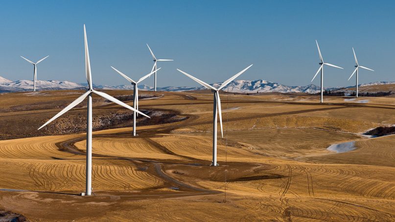 Wind turbines dot the landscape. Photo courtesy of Creative Commons