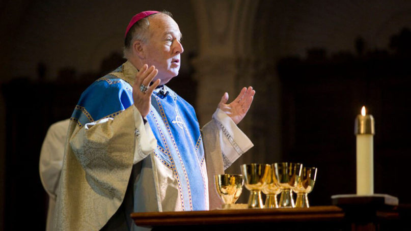 Bishop Robert McElroy of San Diego. Photo courtesy of Diocese of San Diego