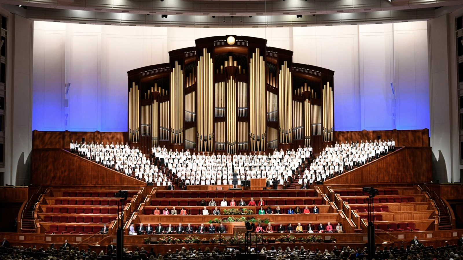 On oak trees, LGBTQ issues and the exclusive Mormon heaven