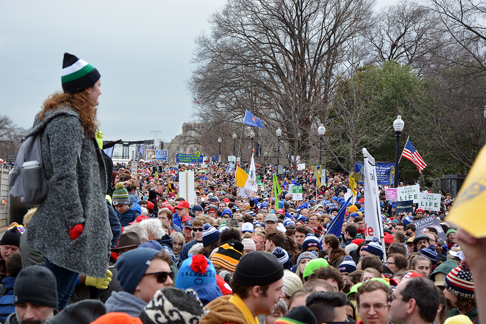 Attendees participate in the annual March for Life rally on the National Mall, Friday, Jan. 24, 2020, in Washington. RNS photo by Jack Jenkins