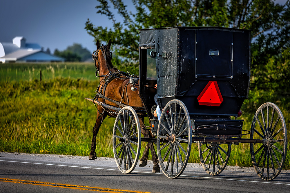 A horse-drawn carriage in an Amish community in Iowa. (Photo by David Mark/Pixabay/Creative Commons)