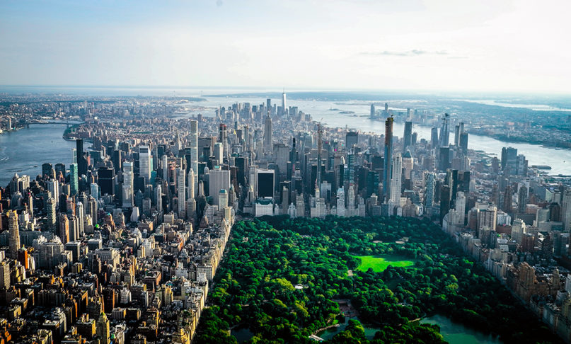 Central Park and the New York City skyline. Photo by Leonhard Niederwimmer/Pixabay/Creative Commons
