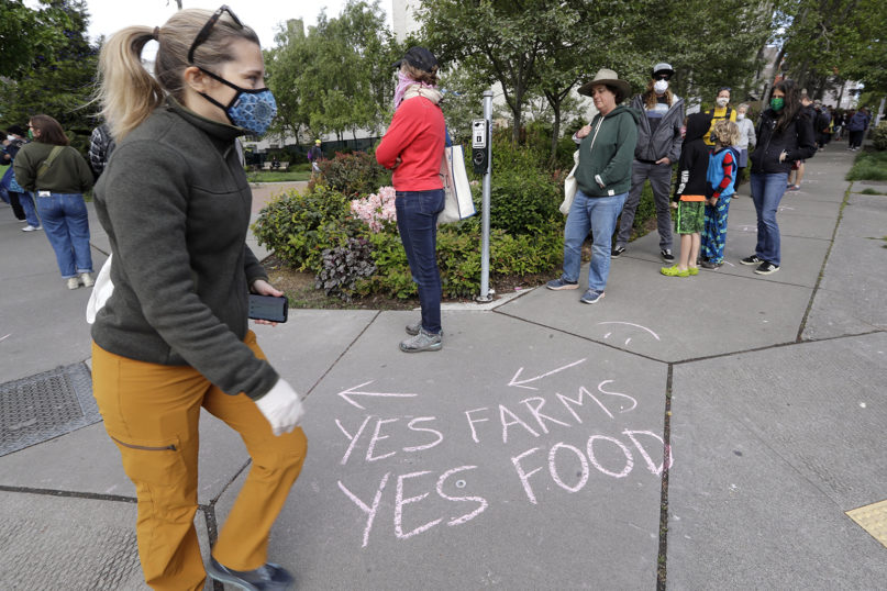 A line of customers snaking around the block waits to enter the West Seattle Farmers Market during its first opening in nearly two months because of the coronavirus outbreak, Sunday, May 3, 2020, in Seattle. Farmers markets in Seattle were initially closed but are reopening with guidelines that include fewer vendors allowed, a limited number of customers with a single direction of movement, additional hand washing and sanitizing stations, and signs and markings urging customers to maintain distance from each other. (AP Photo/Elaine Thompson)