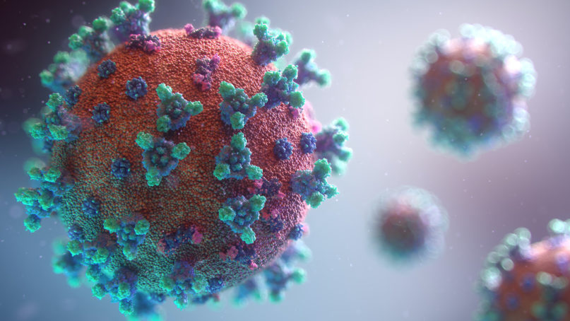 An illustration of the novel coronavirus. Image by Fusion Medical Animation/Unsplash/Creative Commons