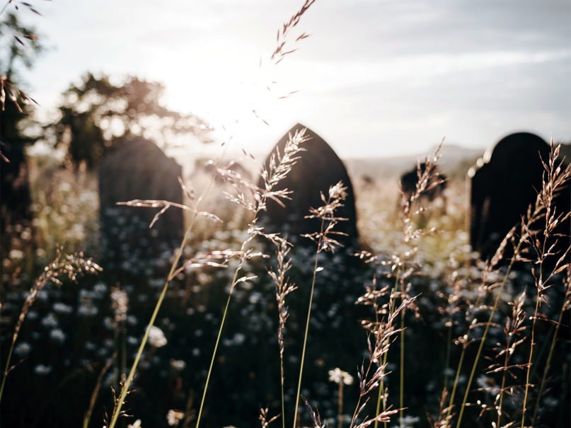 Flowers and long grasses surround gravestones in a cemetery. Photo by Jill Dimond/Unsplash/Creative Commons