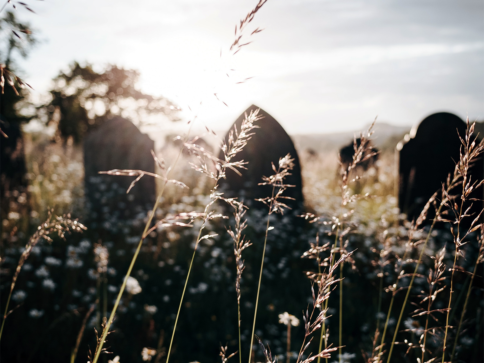 Justice Department sues Virginia county for blocking Muslim cemetery